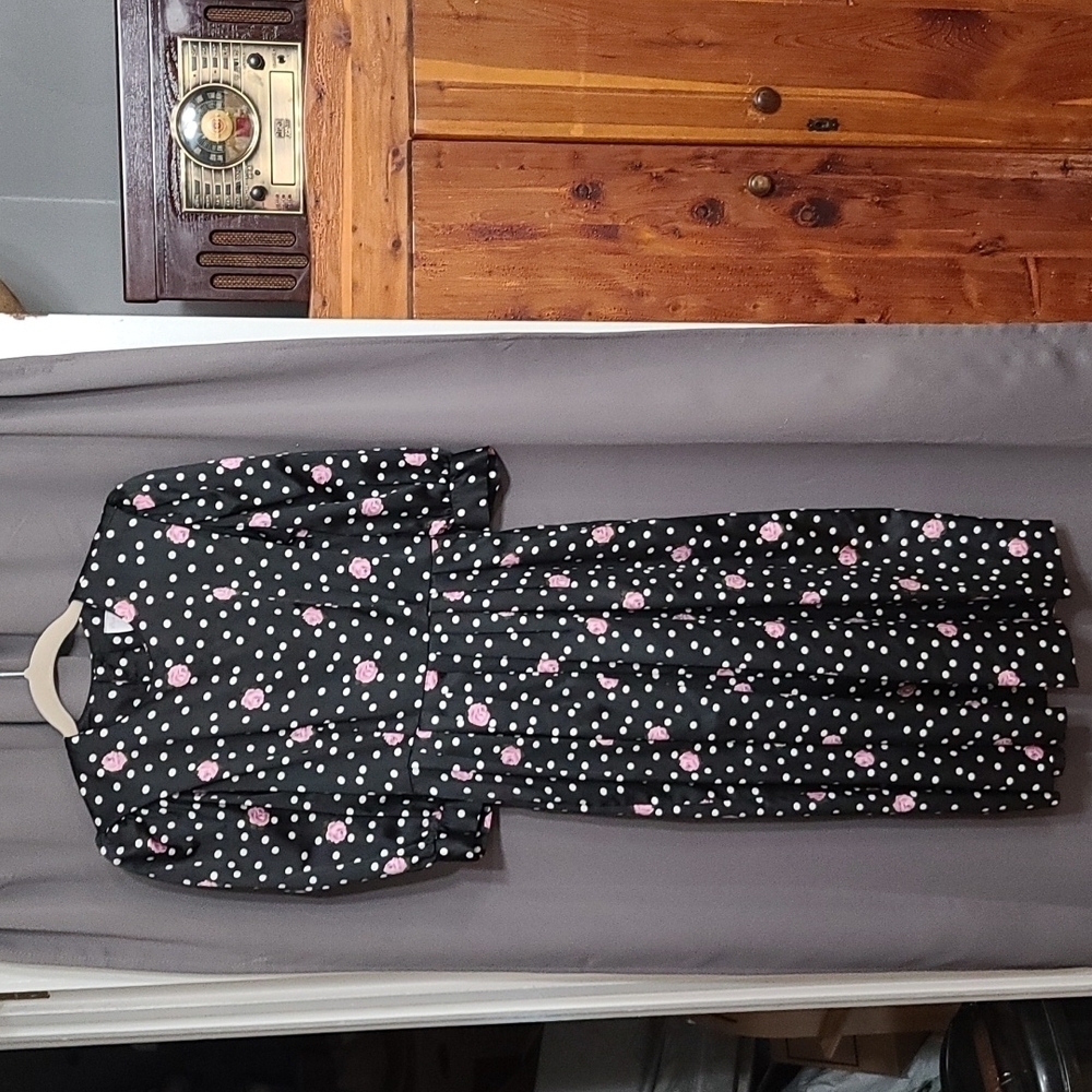 VTG‎ Petite Lanz USA Dress Black W/White Polka-dots/Pink Roses Pockets Sz 2 READ